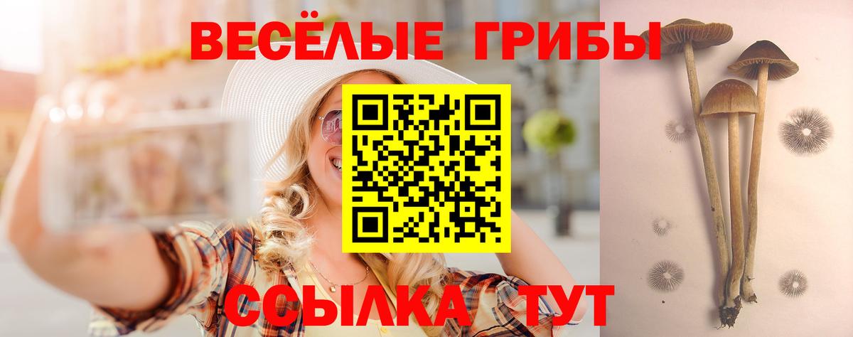 Галлюциногенные грибы Cubensis Шелехов